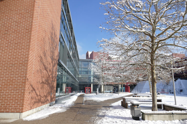 FAU WiSo takes Christmas break