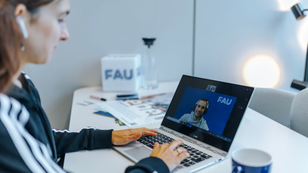 Bachelor IBS and IES