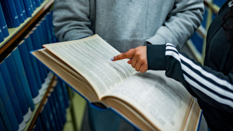 Featured image for Rankings